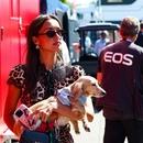 Filename=image29.jpg
Filesize=123KiB
Dimensions=1300x866
Date added=Sep 05, 2025 image29.jpg