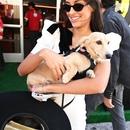 Filename=image001~0.jpg
Filesize=352KiB
Dimensions=1668x2500
Date added=Oct 20, 2025 image001~0.jpg