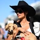 Filename=image003.jpg
Filesize=228KiB
Dimensions=2500x1674
Date added=Oct 20, 2025 image003.jpg