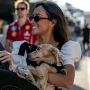 Filename=image003~0.jpg
Filesize=259KiB
Dimensions=2500x1667
Date added=Oct 24, 2025 image003~0.jpg