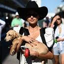 Filename=image004.jpg
Filesize=283KiB
Dimensions=2500x1668
Date added=Oct 20, 2025 image004.jpg