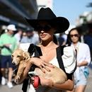 Filename=image005.jpg
Filesize=266KiB
Dimensions=1666x2500
Date added=Oct 20, 2025 image005.jpg