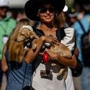 Filename=image013~0.jpg
Filesize=115KiB
Dimensions=866x1300
Date added=Oct 24, 2025 image013~0.jpg