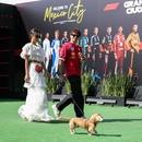 Filename=image018.jpg
Filesize=455KiB
Dimensions=2500x1666
Date added=Oct 24, 2025 image018.jpg