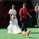 Filename=image019.jpg
Filesize=413KiB
Dimensions=2500x1666
Date added=Oct 24, 2025 image019.jpg