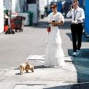 Filename=image025~0.jpg
Filesize=385KiB
Dimensions=1957x2500
Date added=Oct 27, 2025 image025~0.jpg