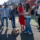 Filename=image018~0.jpg
Filesize=752KiB
Dimensions=2500x1667
Date added=Oct 27, 2025 image018~0.jpg