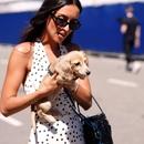 Filename=image027.jpg
Filesize=75KiB
Dimensions=1300x866
Date added=Sep 24, 2025 image027.jpg