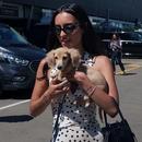 Filename=image122.jpg
Filesize=503KiB
Dimensions=2243x2500
Date added=Aug 22, 2025 image122.jpg