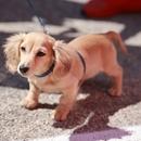 Filename=image134.jpg
Filesize=252KiB
Dimensions=2500x1667
Date added=Aug 22, 2025 image134.jpg