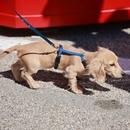 Filename=image135.jpg
Filesize=483KiB
Dimensions=2500x1667
Date added=Aug 22, 2025 image135.jpg