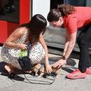 Filename=image137.jpg
Filesize=592KiB
Dimensions=1667x2500
Date added=Aug 22, 2025 image137.jpg