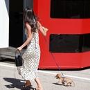 Filename=image148.jpg
Filesize=451KiB
Dimensions=1667x2500
Date added=Aug 22, 2025 image148.jpg