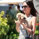 Filename=image152.jpg
Filesize=369KiB
Dimensions=1667x2500
Date added=Aug 22, 2025 image152.jpg