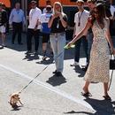 Filename=image154.jpg
Filesize=642KiB
Dimensions=1667x2500
Date added=Aug 22, 2025 image154.jpg