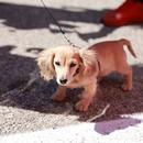 Filename=image158.jpg
Filesize=323KiB
Dimensions=2500x1667
Date added=Aug 22, 2025 image158.jpg