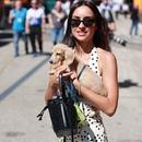 Filename=image165.jpg
Filesize=353KiB
Dimensions=1667x2500
Date added=Aug 22, 2025 image165.jpg