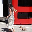 Filename=image199.jpg
Filesize=451KiB
Dimensions=1667x2500
Date added=Aug 22, 2025 image199.jpg