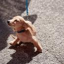 Filename=image202.jpg
Filesize=517KiB
Dimensions=2500x1667
Date added=Aug 22, 2025 image202.jpg