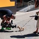 Filename=image223.jpg
Filesize=672KiB
Dimensions=2500x1667
Date added=Aug 22, 2025 image223.jpg