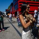 Filename=image226.jpg
Filesize=528KiB
Dimensions=2500x1667
Date added=Aug 22, 2025 image226.jpg