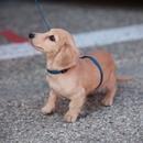 Filename=image231.jpg
Filesize=295KiB
Dimensions=2500x1667
Date added=Aug 22, 2025 image231.jpg