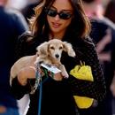 Filename=image000027.jpg
Filesize=289KiB
Dimensions=1666x2500
Date added=Aug 22, 2025 image000027.jpg