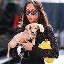 Filename=image000048.jpg
Filesize=286KiB
Dimensions=1666x2500
Date added=Aug 22, 2025 image000048.jpg