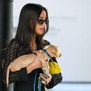 Filename=image237.jpg
Filesize=351KiB
Dimensions=2500x1667
Date added=Aug 22, 2025 image237.jpg