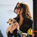 Filename=image238.jpg
Filesize=323KiB
Dimensions=2500x1667
Date added=Aug 22, 2025 image238.jpg