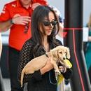 Filename=image239.jpg
Filesize=396KiB
Dimensions=2500x1667
Date added=Aug 22, 2025 image239.jpg