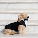 Filename=image006.jpg
Filesize=76KiB
Dimensions=1080x1440
Date added=Mar 02, 2026 image006.jpg