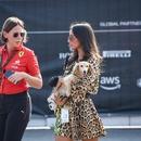 Filename=image753.jpg
Filesize=406KiB
Dimensions=2500x1667
Date added=Aug 23, 2025 image753.jpg