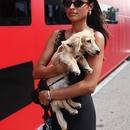 Filename=image000001.jpg
Filesize=246KiB
Dimensions=1666x2500
Date added=Aug 23, 2025 image000001.jpg