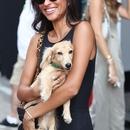 Filename=image000002.jpg
Filesize=258KiB
Dimensions=1666x2500
Date added=Aug 23, 2025 image000002.jpg