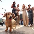 Filename=image000004.jpg
Filesize=319KiB
Dimensions=2500x1666
Date added=Aug 23, 2025 image000004.jpg