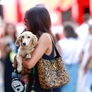 Filename=image702.jpg
Filesize=286KiB
Dimensions=2500x1667
Date added=Aug 23, 2025 image702.jpg