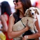 Filename=image703.jpg
Filesize=284KiB
Dimensions=1754x2500
Date added=Aug 23, 2025 image703.jpg