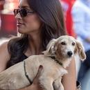 Filename=image754.jpg
Filesize=349KiB
Dimensions=1667x2500
Date added=Aug 23, 2025 image754.jpg