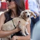 Filename=image755.jpg
Filesize=345KiB
Dimensions=1667x2500
Date added=Aug 23, 2025 image755.jpg