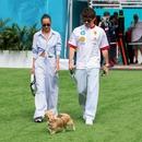 Filename=image841.jpg
Filesize=673KiB
Dimensions=2500x1667
Date added=Aug 26, 2025 image841.jpg