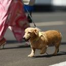 Filename=image000037.jpg
Filesize=238KiB
Dimensions=2500x1653
Date added=Aug 29, 2025 image000037.jpg