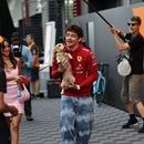 Filename=image000002.jpg
Filesize=296KiB
Dimensions=2500x1666
Date added=Sep 03, 2025 image000002.jpg