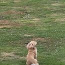 Filename=1000135818.jpg
Filesize=418KiB
Dimensions=1080x1902
Date added=Aug 29, 2025 1000135818.jpg