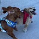 Filename=1000136515.jpg
Filesize=206KiB
Dimensions=1079x1892
Date added=Aug 30, 2025 1000136515.jpg