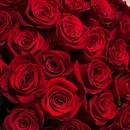 Filename=1000141787.jpg
Filesize=147KiB
Dimensions=1080x1364
Date added=Sep 06, 2025 1000141787.jpg