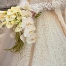 Filename=11~0.jpg
Filesize=186KiB
Dimensions=1080x1373
Date added=Sep 22, 2025 11~0.jpg