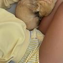 Filename=455145229_2857357147755384_1436112194869160742_n.jpg
Filesize=51KiB
Dimensions=640x798
Date added=Aug 22, 2025 455145229_2857357147755384_1436112194869160742_n.jpg