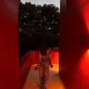 Filename=471455212_563666566563889_8649825573076707358_n.jpg
Filesize=43KiB
Dimensions=640x800
Date added=Aug 22, 2025 471455212_563666566563889_8649825573076707358_n.jpg