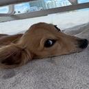 Filename=496324500_18499786885000657_8376879708657429307_n.jpg
Filesize=88KiB
Dimensions=640x798
Date added=Aug 22, 2025 496324500_18499786885000657_8376879708657429307_n.jpg